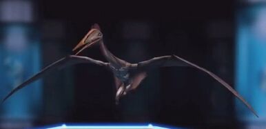 Hatzegopteryx-0.jpg