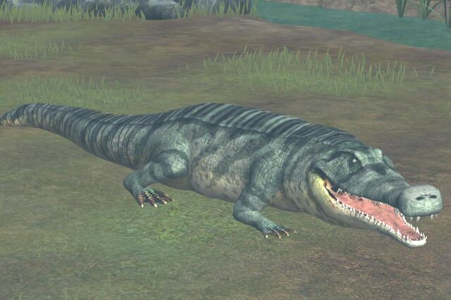 File:Sarcosuchus (38).jpg
