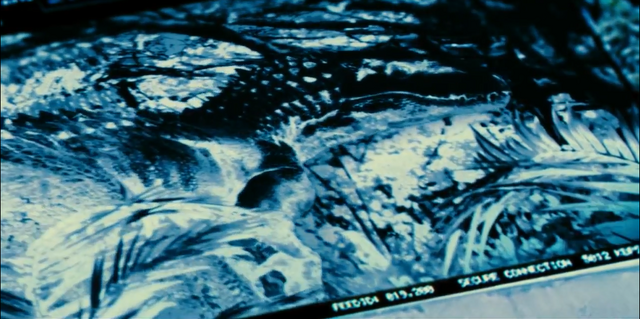 File:Indominus Rex (62).png