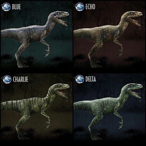 File:Raptor Pack.jpg