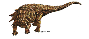 Edmontonia