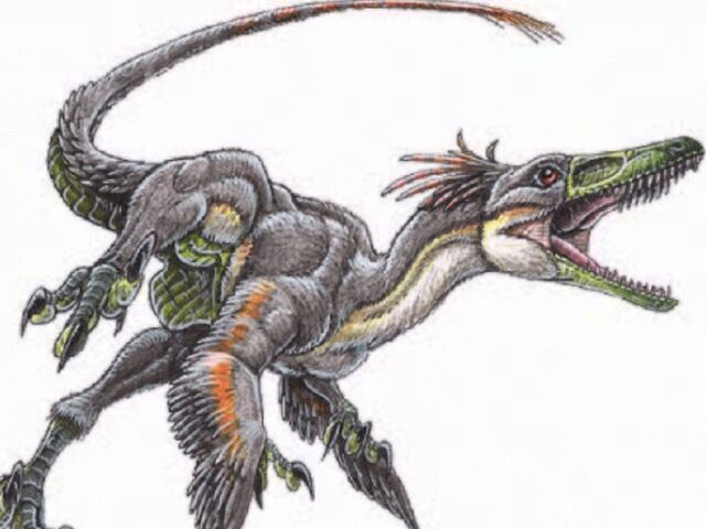 File:Featheredraptor7.jpg