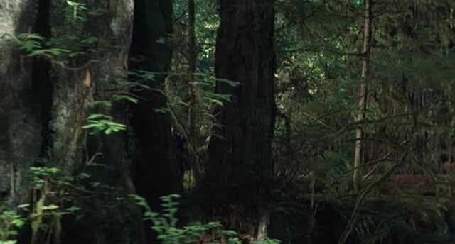 File:Screen image 280727.jpg