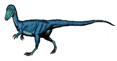 Sinosauropteryx