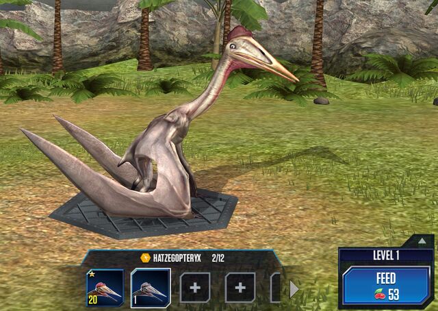 File:Hatzegopteryx Base.jpg