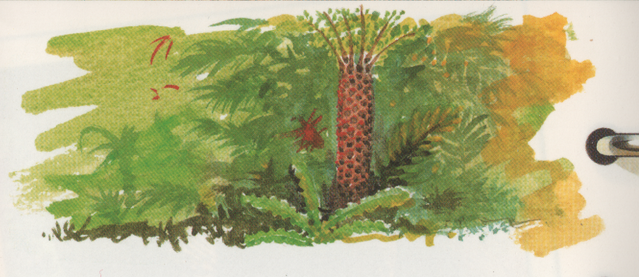 File:Fern veriformans.png
