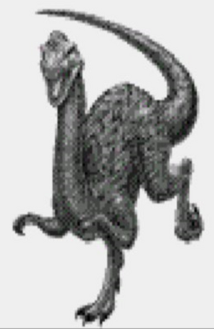 File:Procompsega1.png