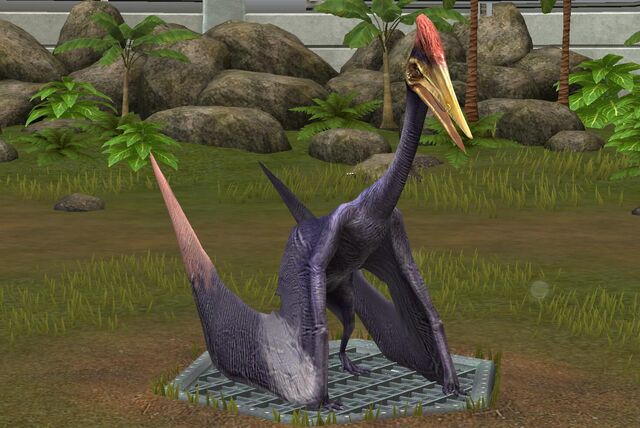File:Zhejiangopterus (19).jpg