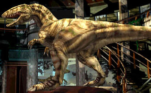 Carcharodonto jup-582.jpg