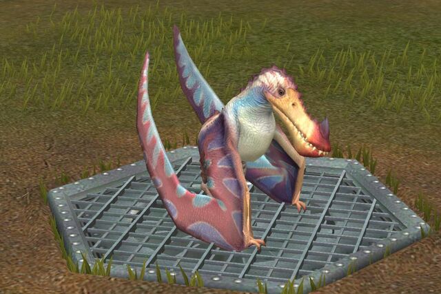 File:Limnorhynchus (1).jpg