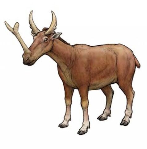 File:2673775 640px.jpg