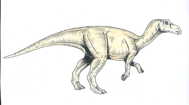 Archivo:Maiasaura.jpg