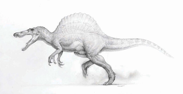 File:JP3 Sketch of Spinosaurus.jpg