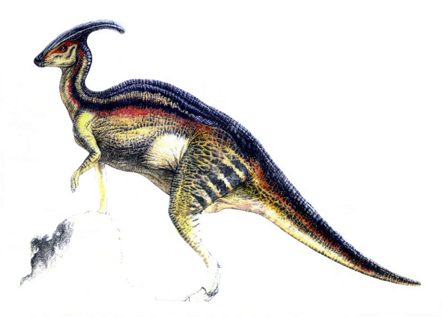 File:Para tlw concept.png