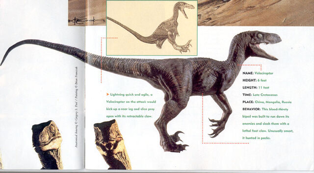 File:Velociraptorartgalery3.jpg