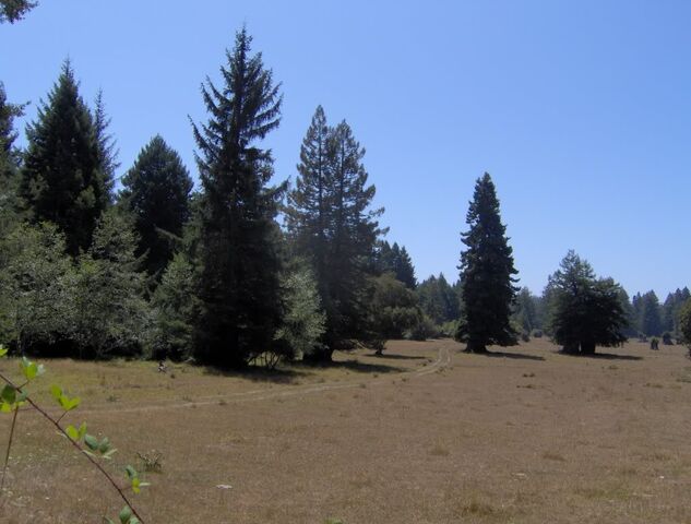 File:HPIM1050.jpg