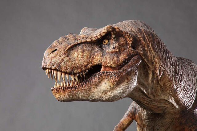 File:JPTREX.jpg