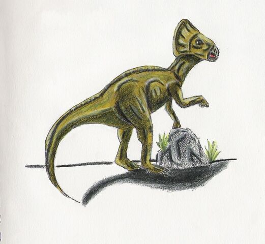 Archivo:Microceratops jpnovelmicrocera.jpg