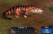 Diplocaulus 1S