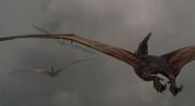 Pteranodon04.jpg