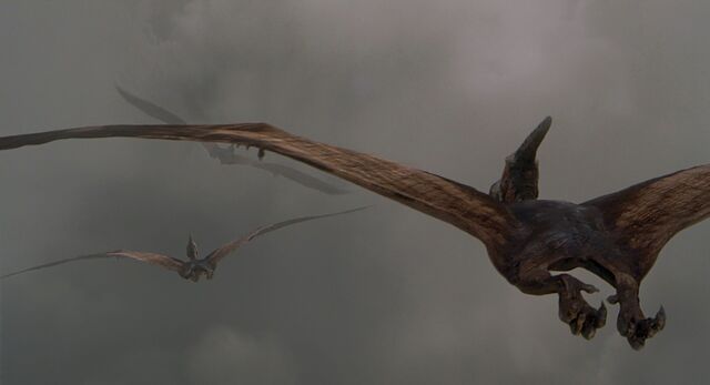 Datei:Pteranodon04.jpg