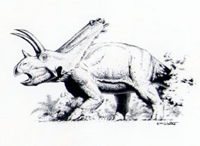 Pentaceratops-0