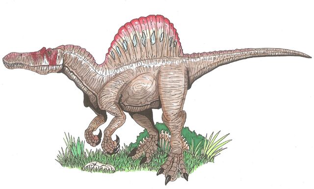 File:Spinosaurus Fanart.jpg