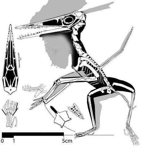 File:No.-12-588.jpg
