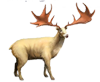 Megaloceros.png