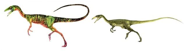 Compsognathuslongipes (2).jpg