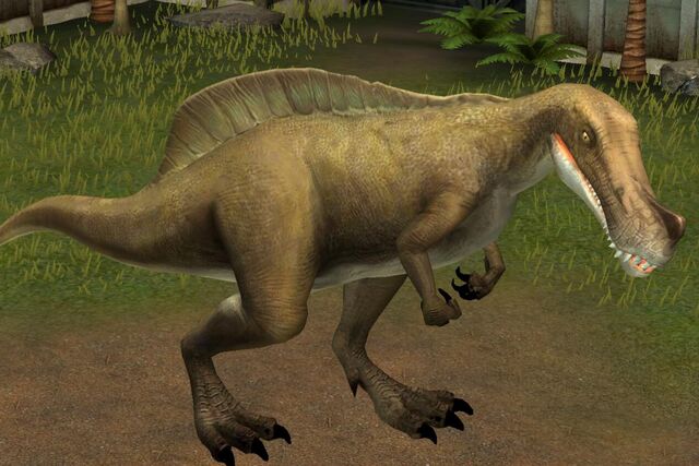File:Irritator (22).jpg