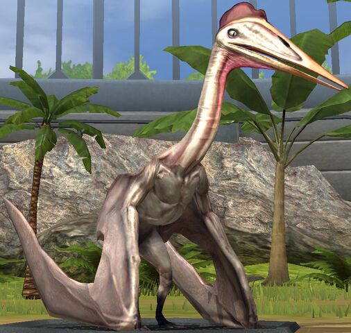 File:Hatzegopteryx lvl 10.jpg