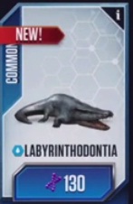 Labyrinthodontia