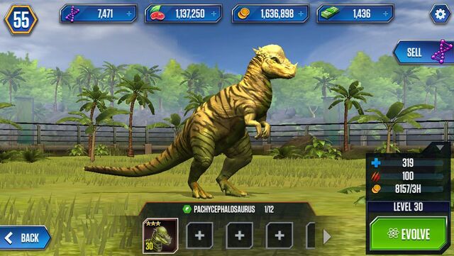 File:Pachycephalosaurus by wolvesanddogs23-d988tqx.jpg