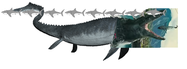 File:Size.png