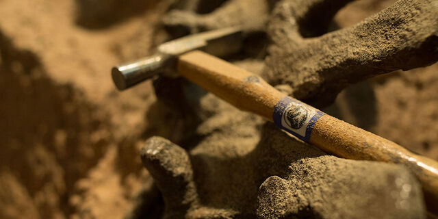 File:7 - Digging Pick.jpg
