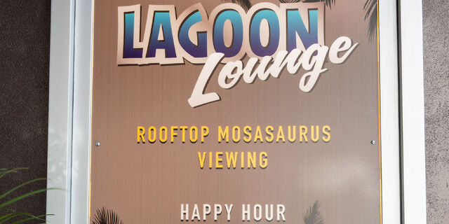 File:Lagoon-lounge-poster.jpg