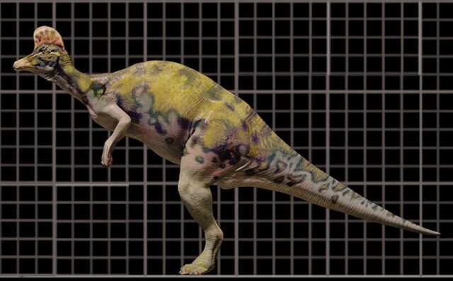File:Corythosaur7hv-1-.jpg