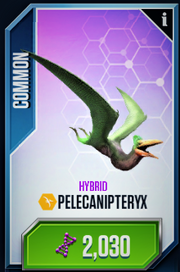 Pelecanipteryx Card