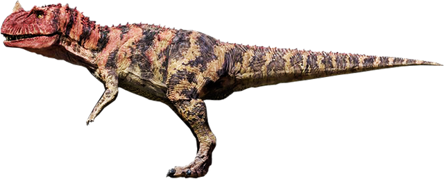 Datei:Carato.png
