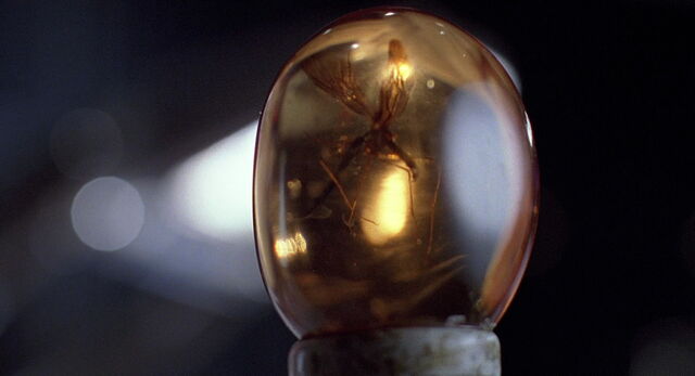 File:Jurassic-park-movie-screencaps.com-6446.jpg