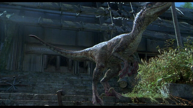 File:RaptorCalls2.jpg