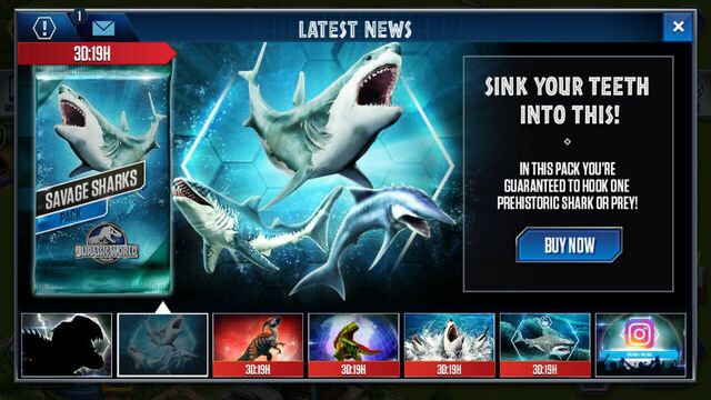 File:Sharks.jpg