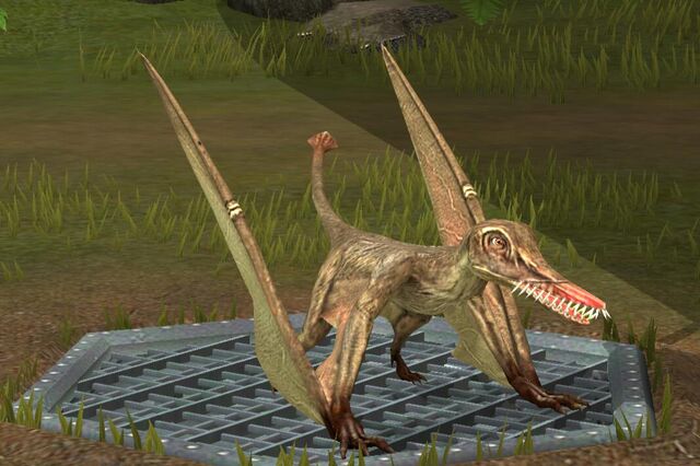 File:Rhamphorhynchus (15).jpg