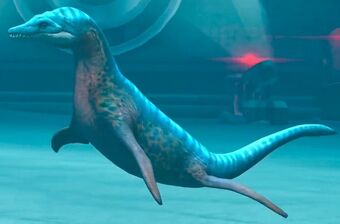 Rhomaleosaurus (30).jpg