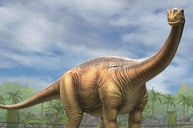 File:Shunosaurus Lii (31).jpg