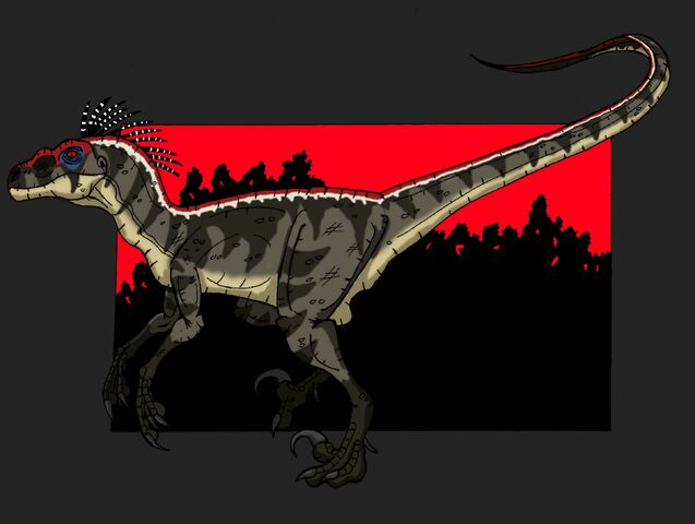 File:Velociraptor sornaiensis.jpg