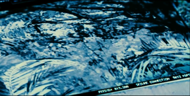 File:Indominus Rex (42).png