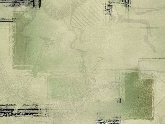 File:Wallpaper 03 1024.jpg
