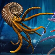 Ammonite 22